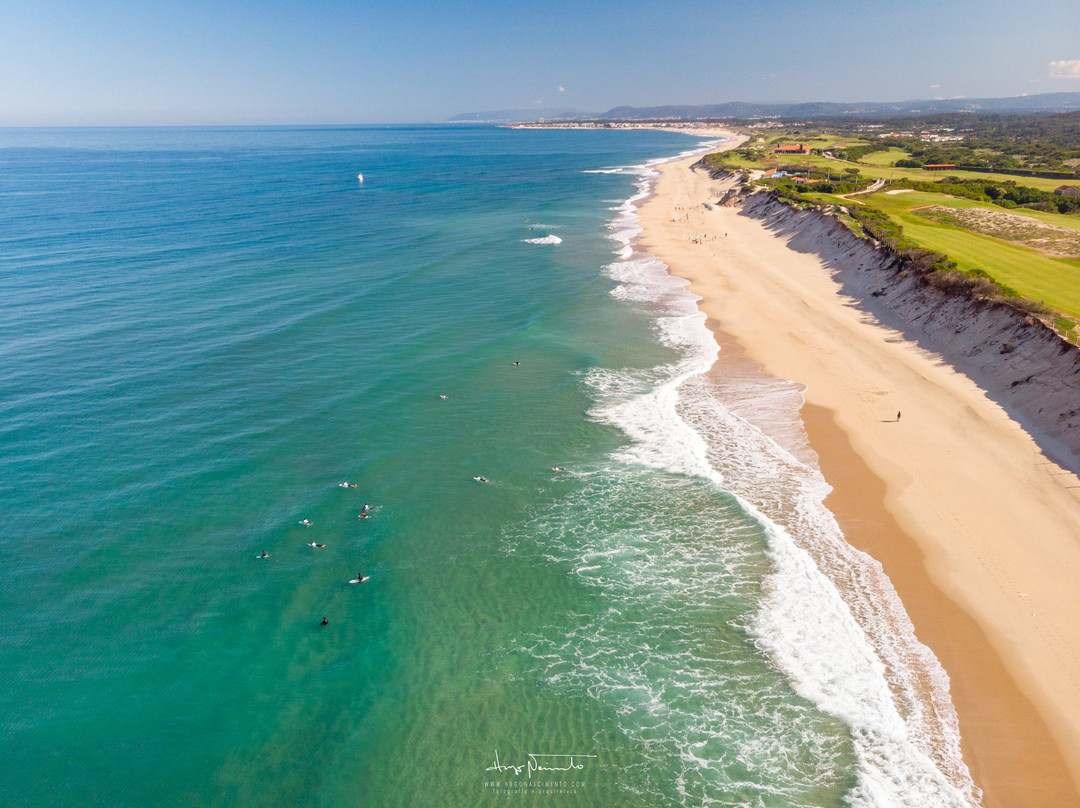 Estela Surf Camp
