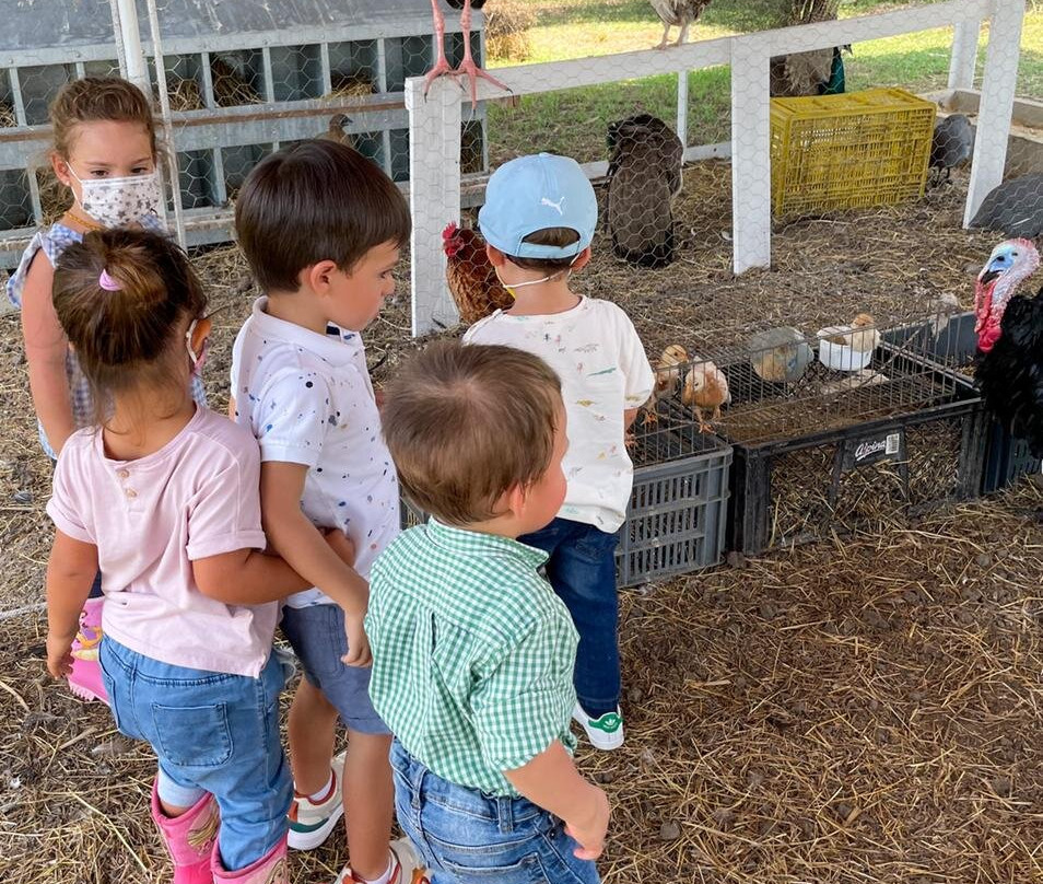 La Granja Del Abuelo Elías-Malagana必去景点