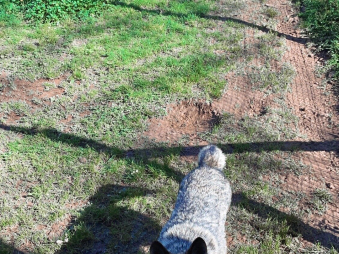 La Casa del Lobo-Belmonte de Miranda必去景点