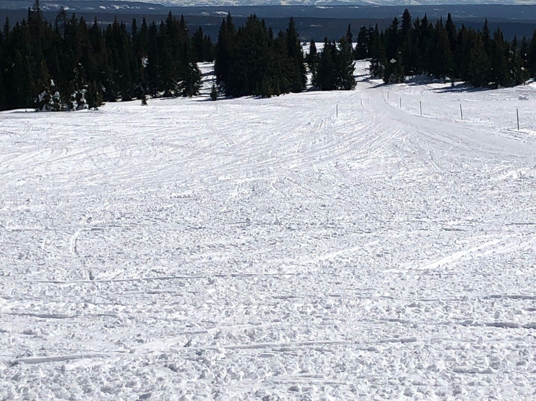 Travelers Snowmobile Rentals-西黄石镇必去景点