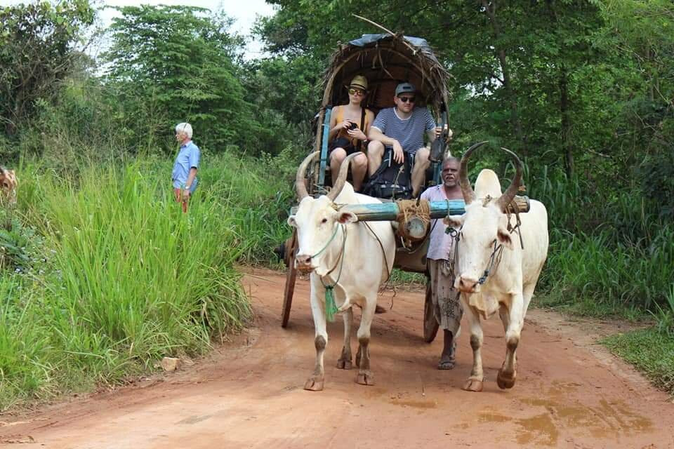 Viraj Village & Jeep Safari-哈巴拉娜必去景点