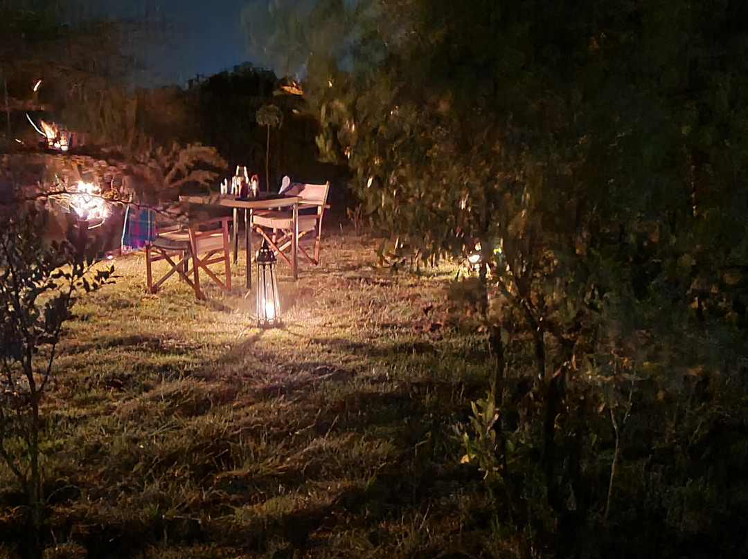 Daigas Edge- Nanyuki主图