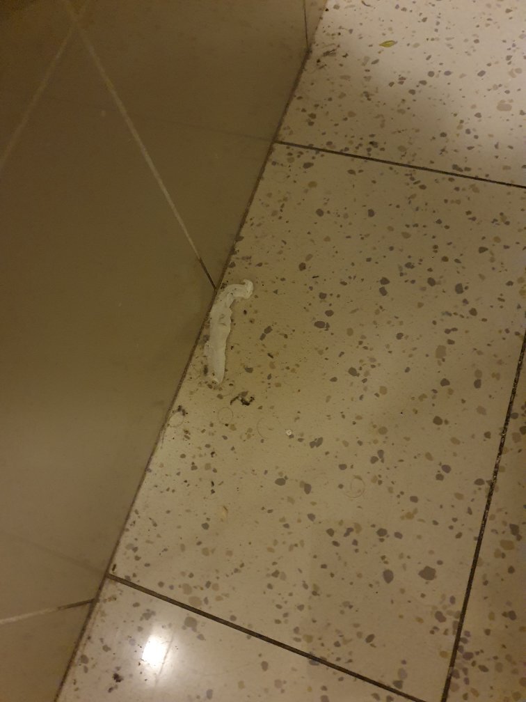 Albergo il Giardinetto-官方