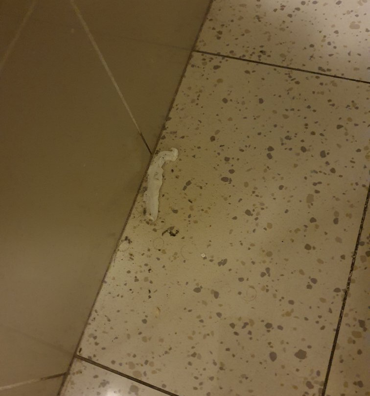 Albergo il Giardinetto主图