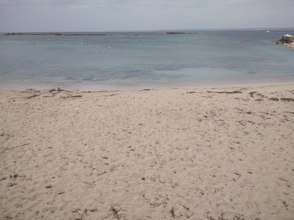 Playa Es Dofi-Ses Salines必去景点