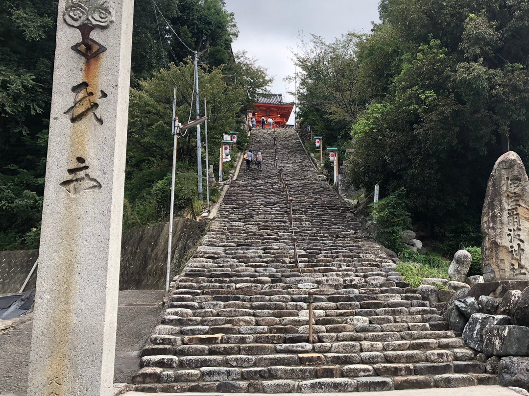 Isaniwa Shrine-松山市必去景点