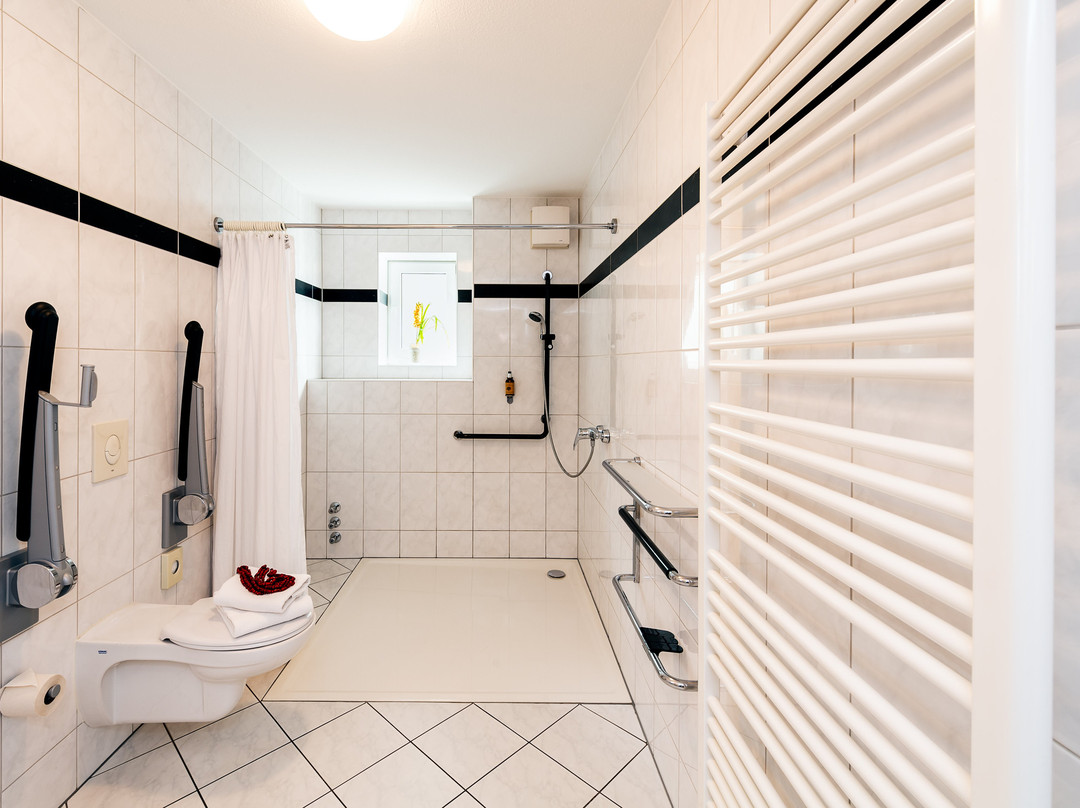 Apparthotel Bad Schandau by STEIGER Hotels主图