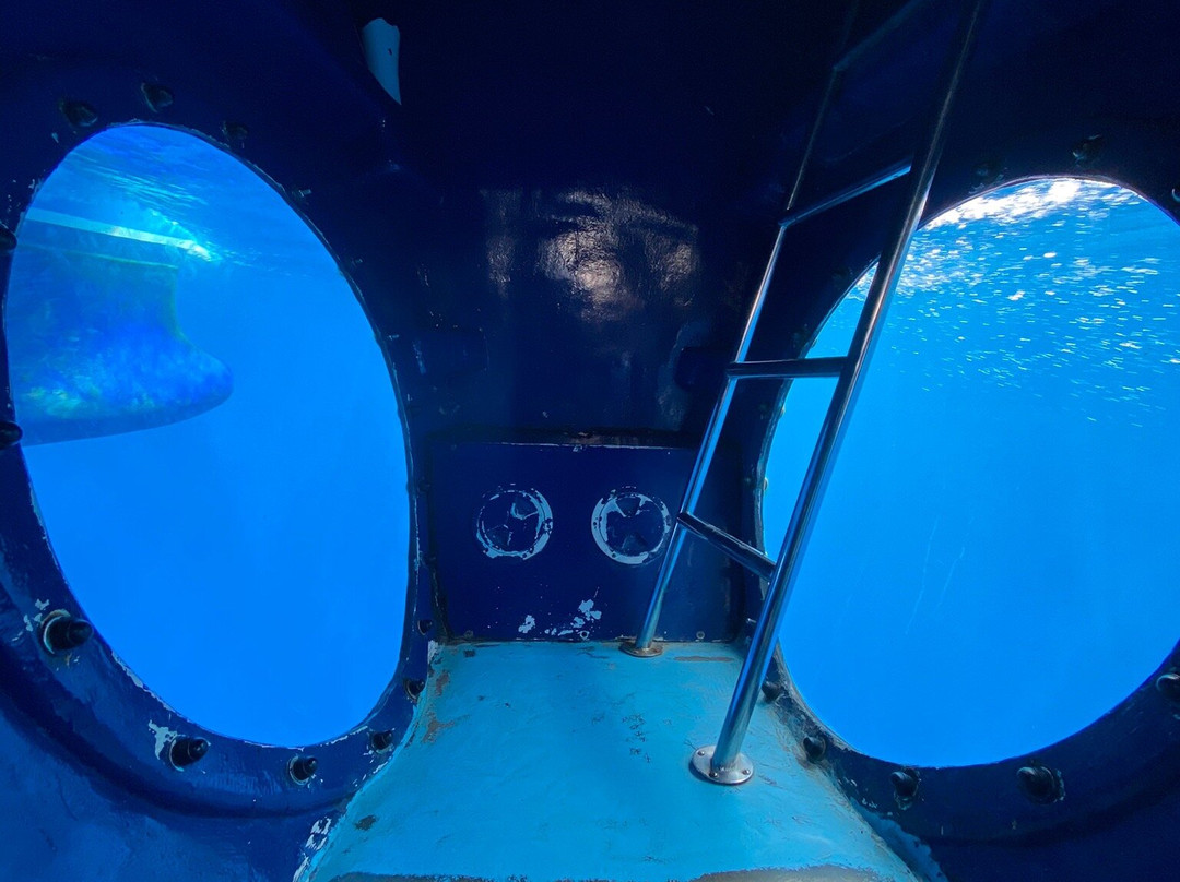 Fancy II Whale Watching景点图片