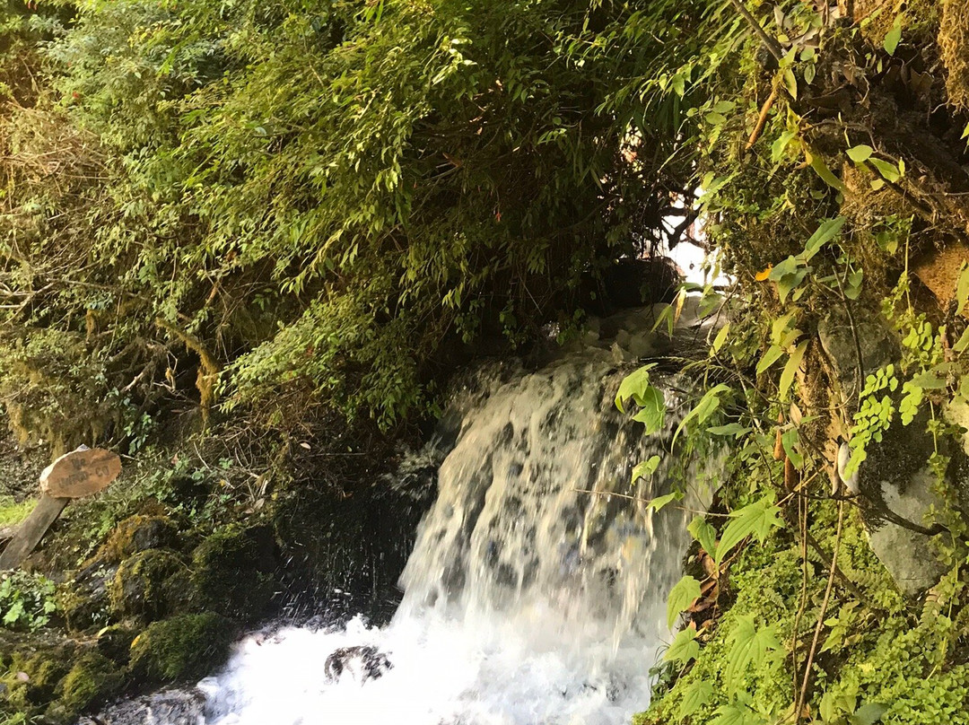 Salto Nina Encantada-Panguipulli必去景点