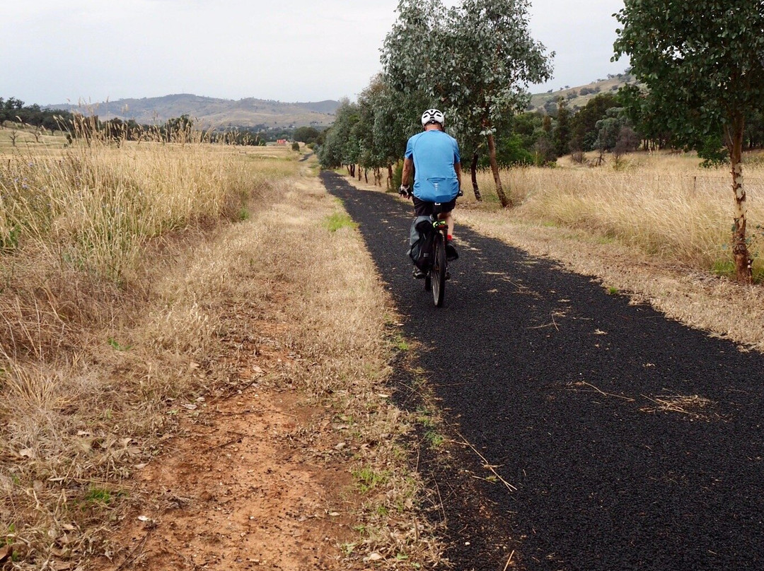 Flash Jacks of Gundagai主图