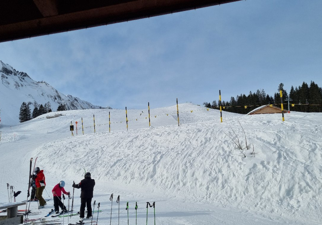 Skihutte und Alphotel Schwand主图