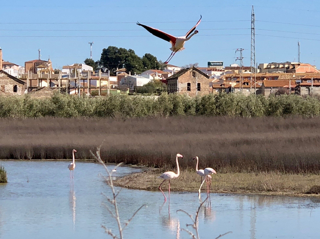 Laguna De Fuente Piedra-安达卢西亚必去景点