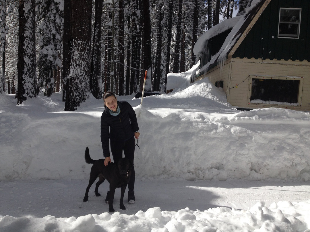 Tamarack Lodge主图