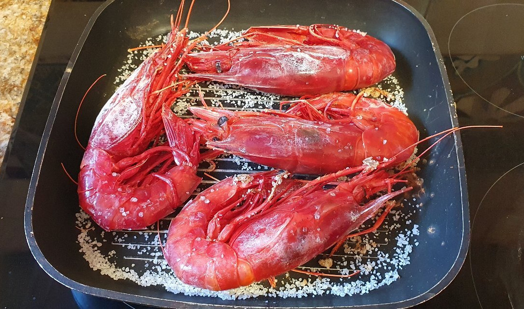 Baby Shark Chiringo Beach