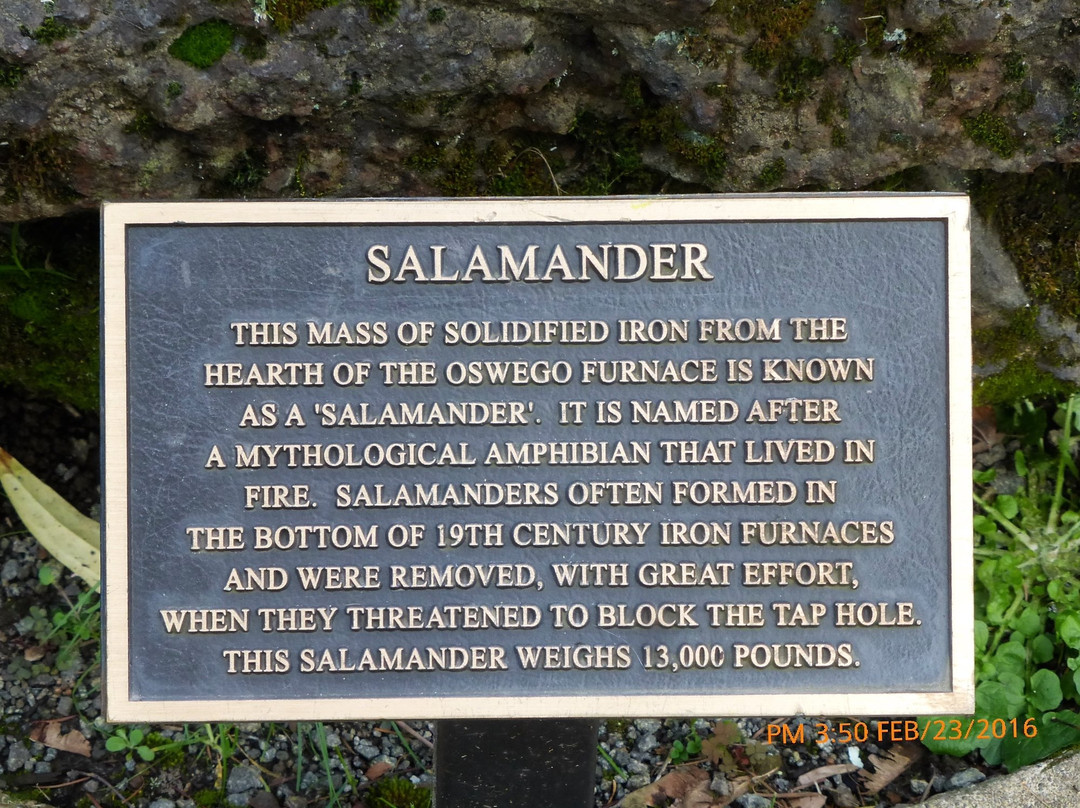 George Rogers Park-莱克奥斯韦戈必去景点