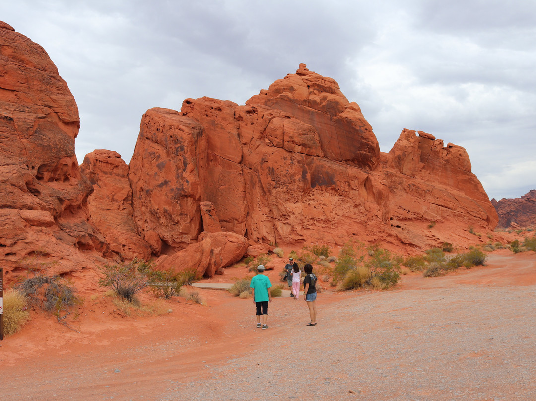 Seven Sisters-欧弗顿必去景点