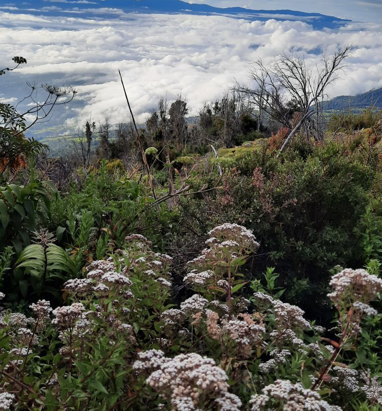 Turrialba Volcano景点图片