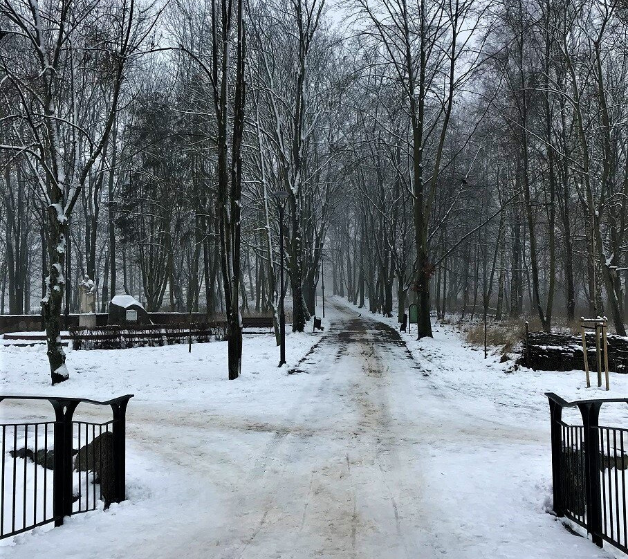 Park Tysiaclecia景点图片