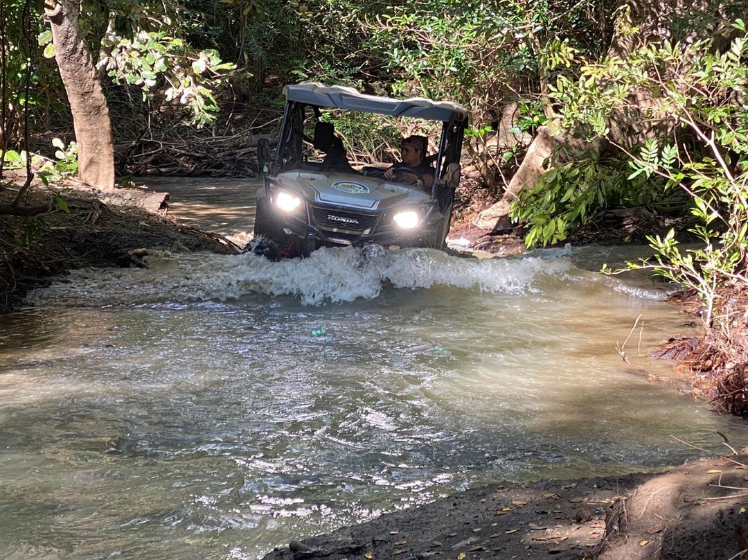 Buggy Tours Costa Rica景点图片