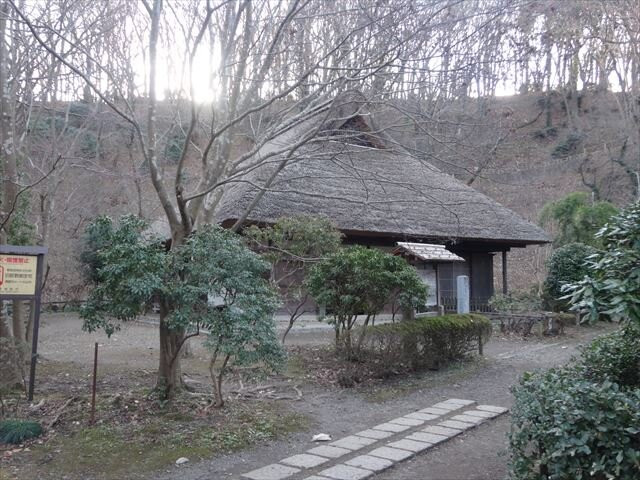 Yakushiike Park-町田市必去景点