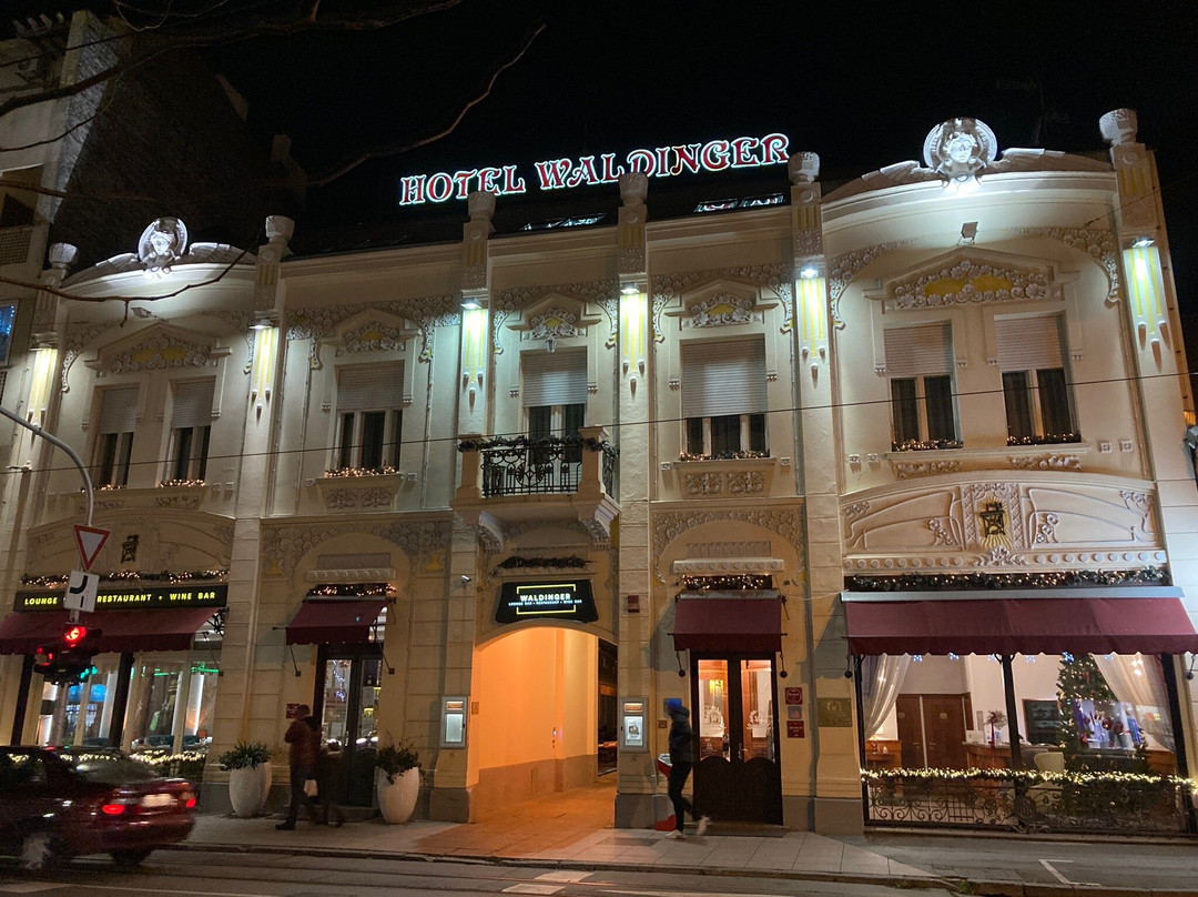 瓦尔丁格酒店主图