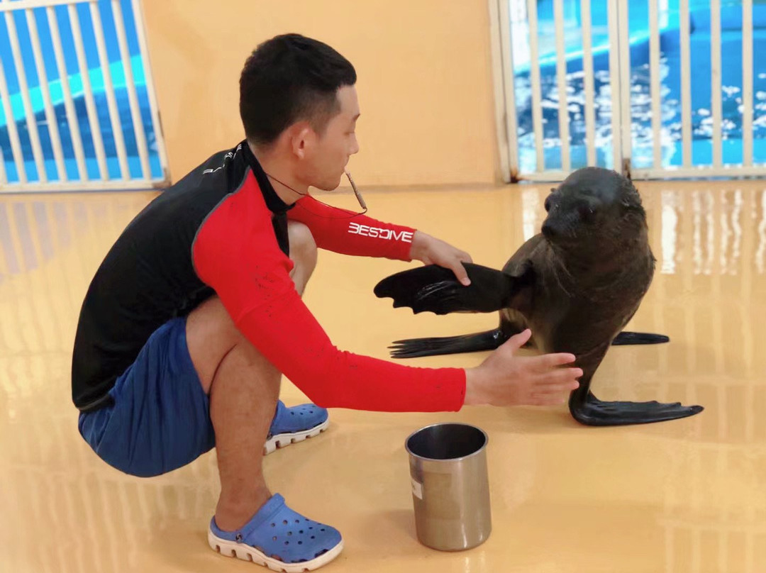 海豚湾景点图片