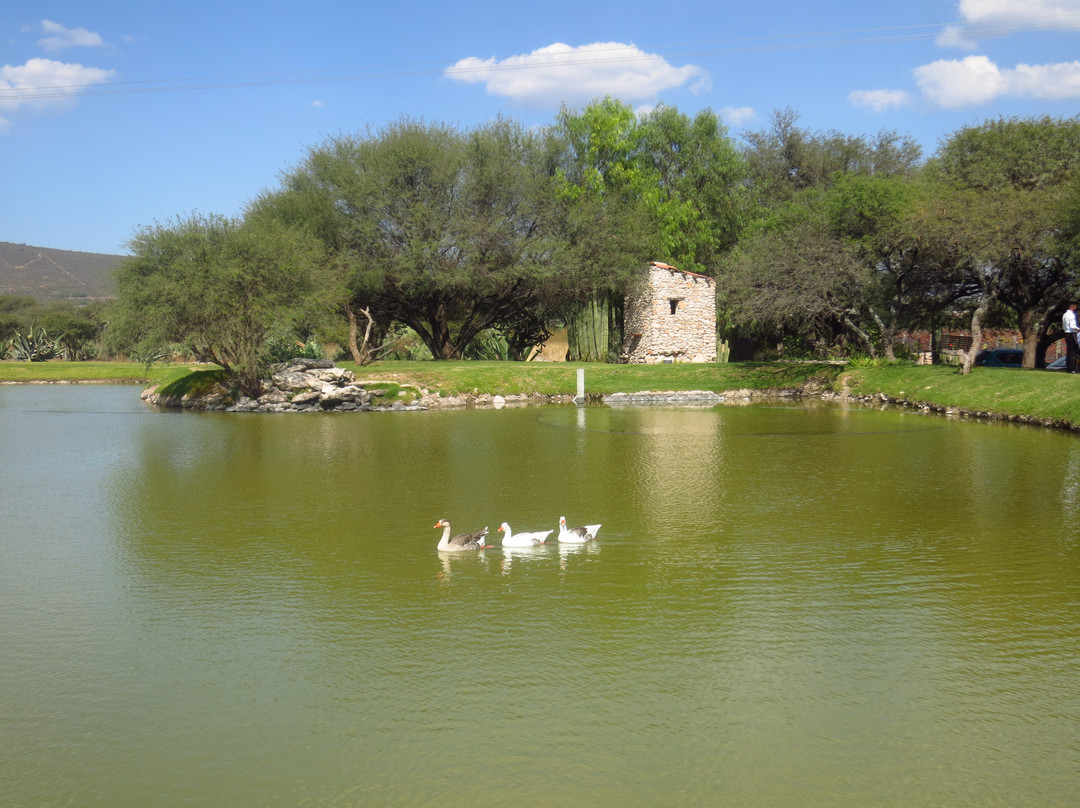 Viñedos Azteca景点图片
