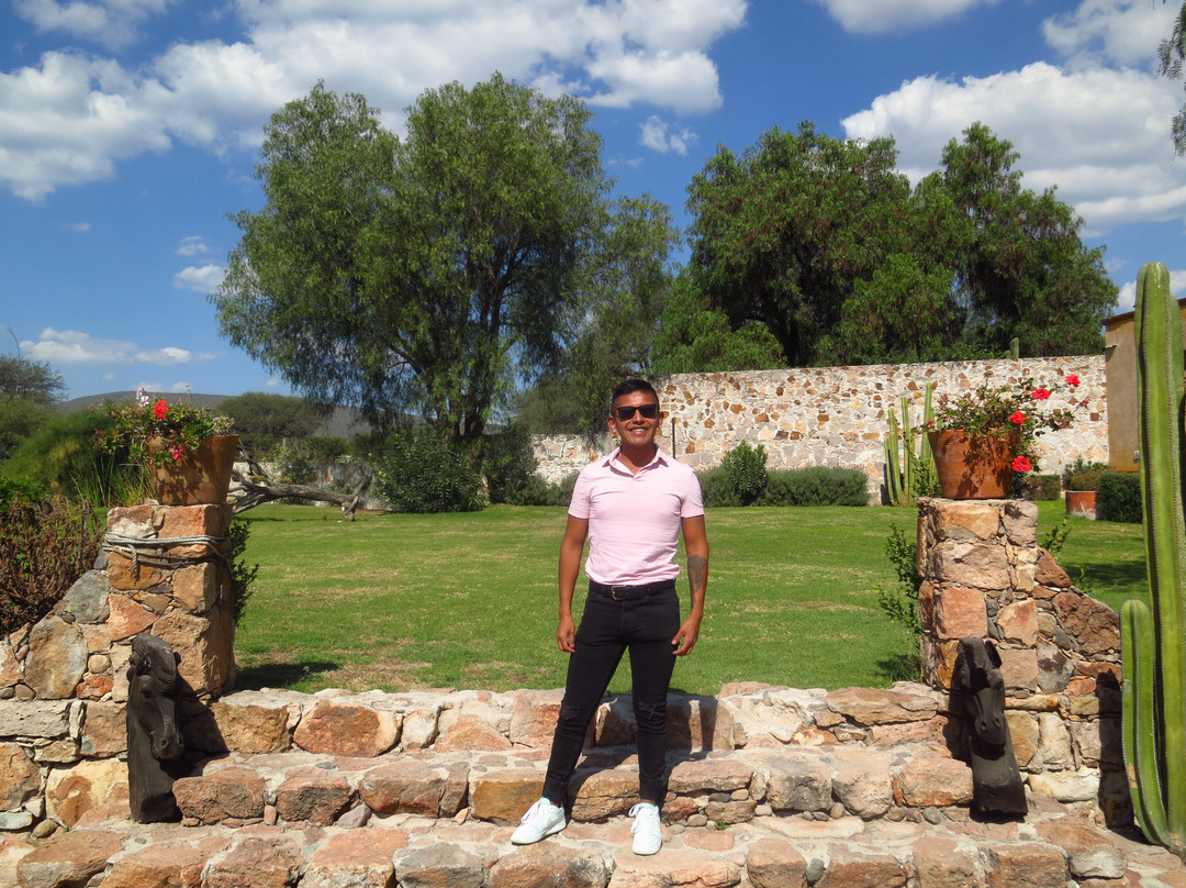 Viñedos Azteca景点图片