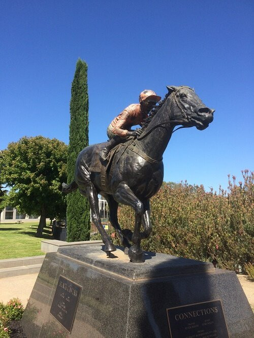 Black Caviar Statue-Nagambie必去景点