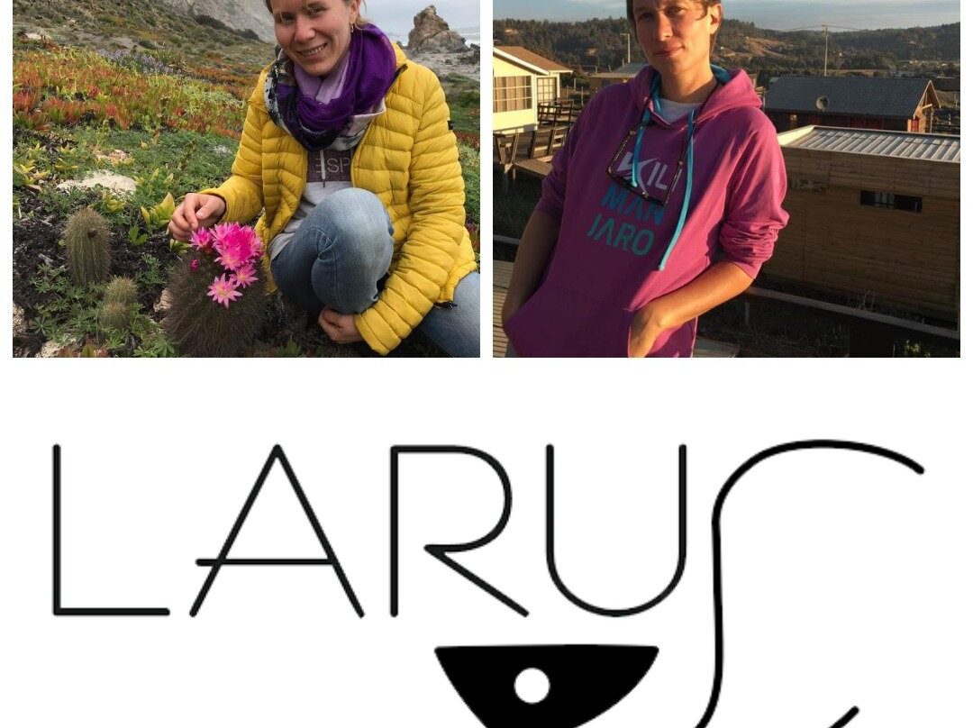 Larus.Travel景点图片