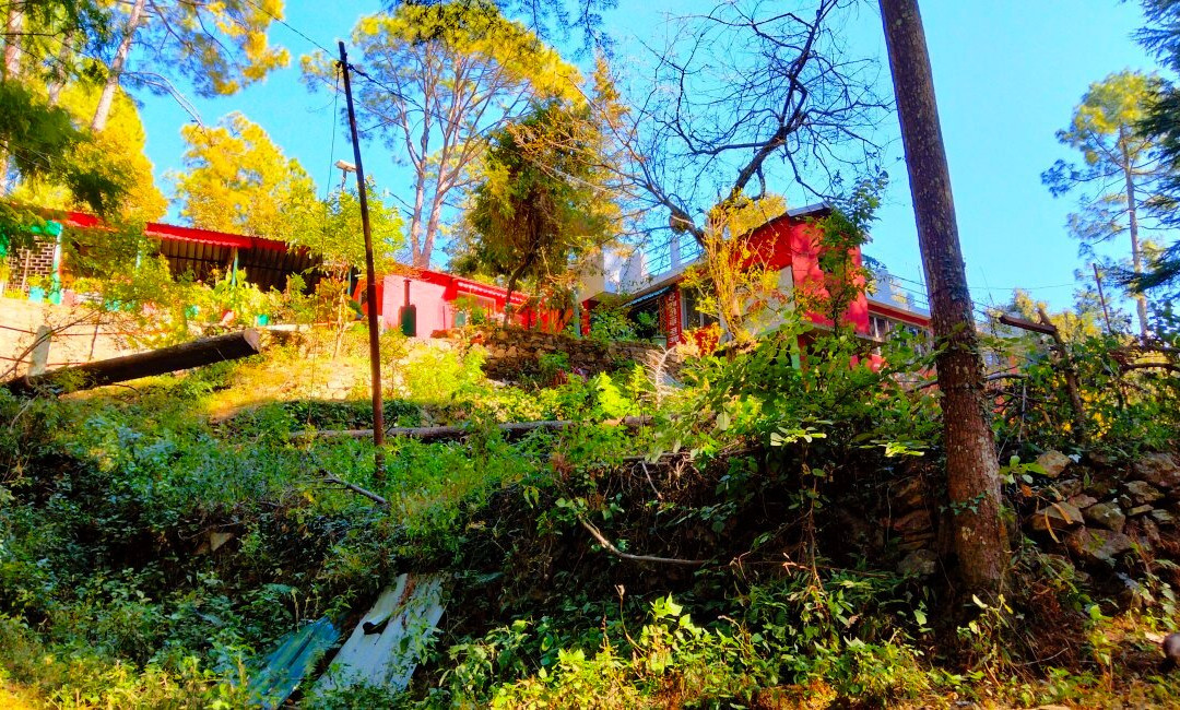 Tarkeshwar Mahadev Temple景点图片