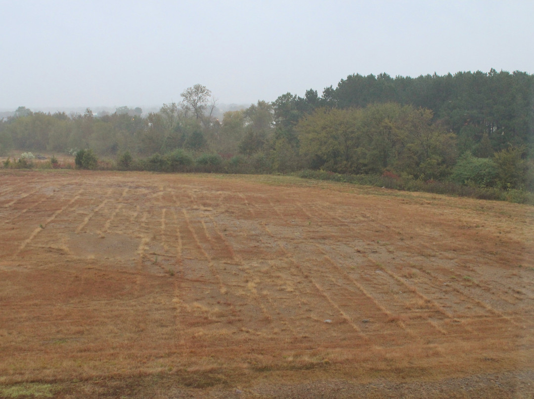 波托快捷假日&套房酒店主图