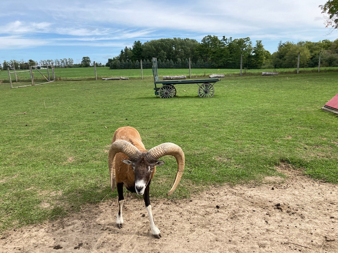Oshawa Zoo-奥沙瓦必去景点