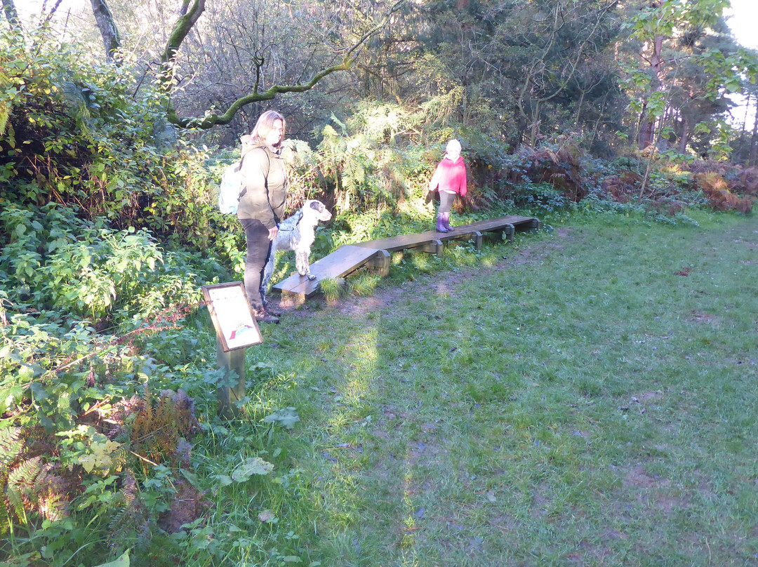 Lynford Arboretum-Mundford必去景点