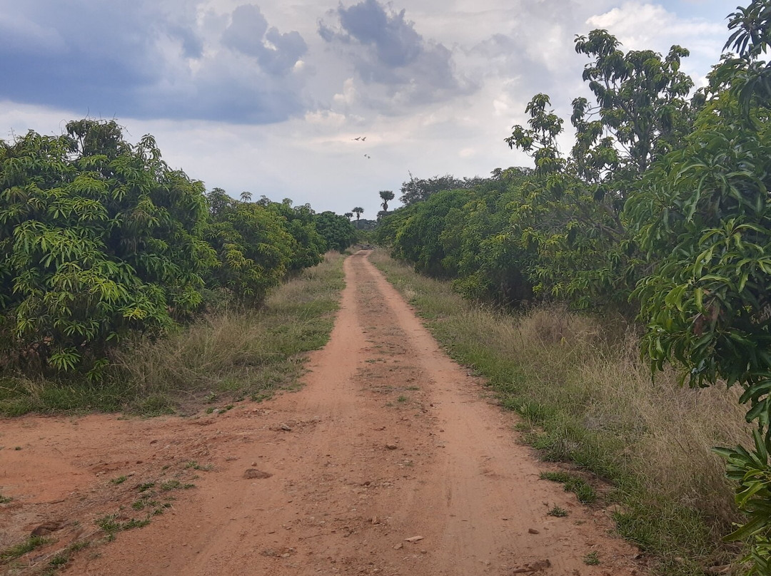 Manimuthar And Papanasam Dams-Tirunelveli必去景点