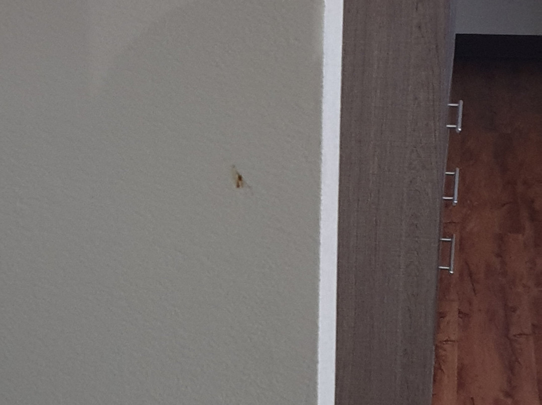 Red Roof Inn & Suites Oxford主图