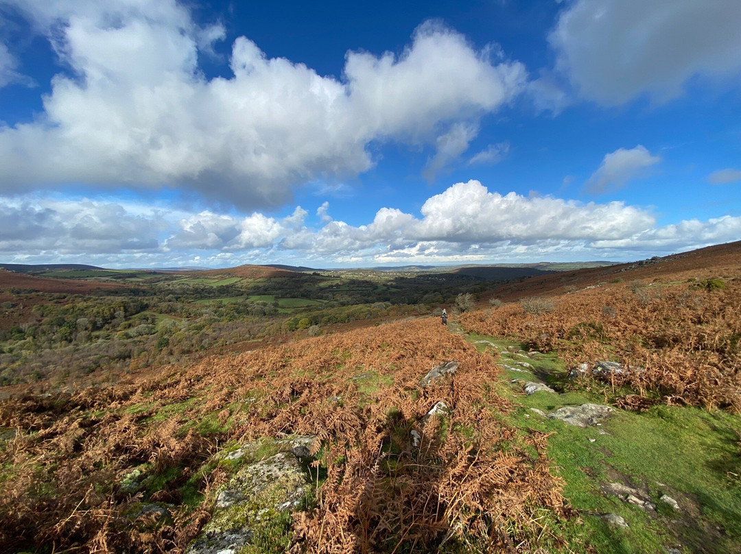 Dartmoor Walks This Way-Ashburton必去景点