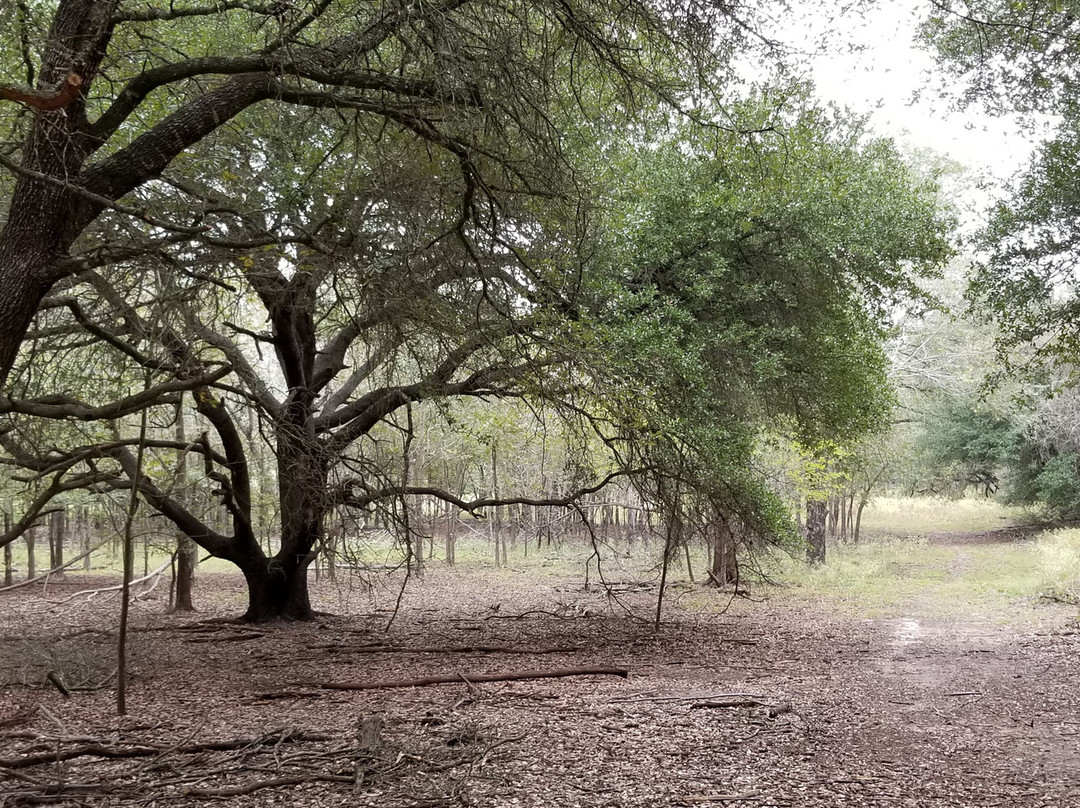 Lake Somerville State Park - Nails Creek Unit景点图片