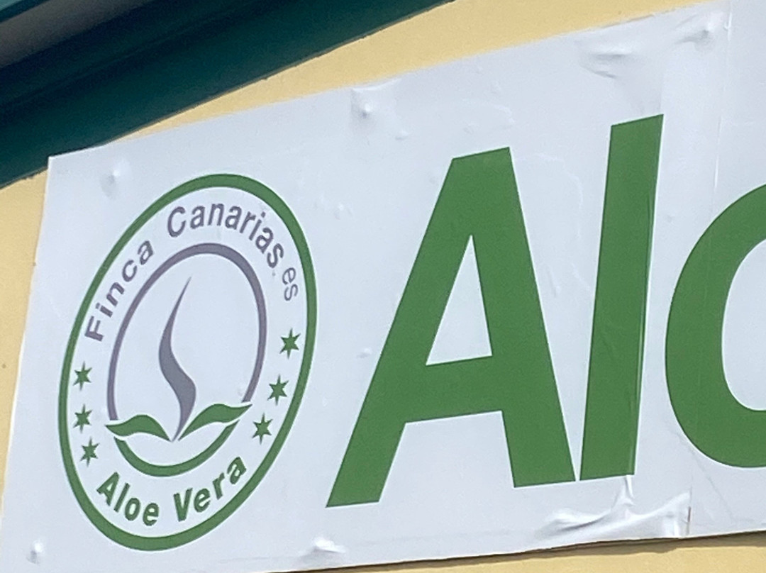 Finca Canarias Aloe Vera景点图片