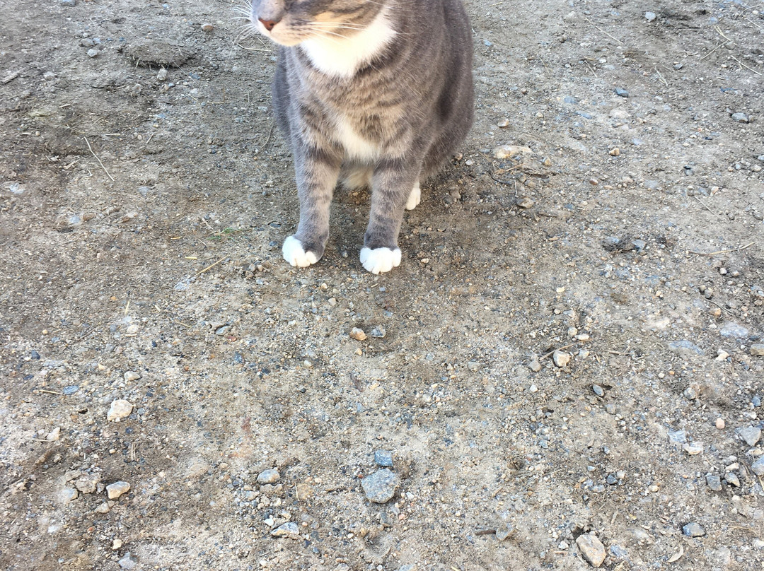 Painted Horse Ranch-埃尔克顿必去景点