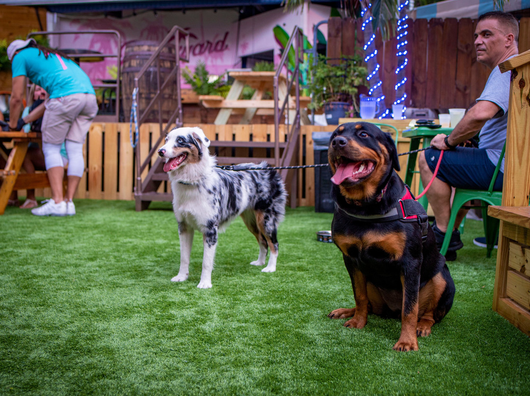 Backyard-劳德代尔堡必去景点