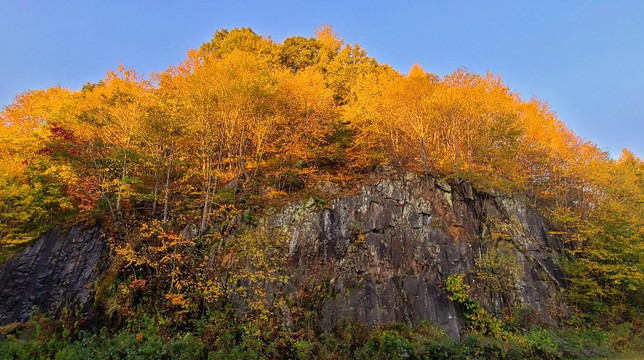 Mountain Manor Hotel主图