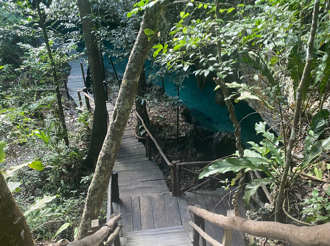 Nature Geek Squad-图伦必去景点