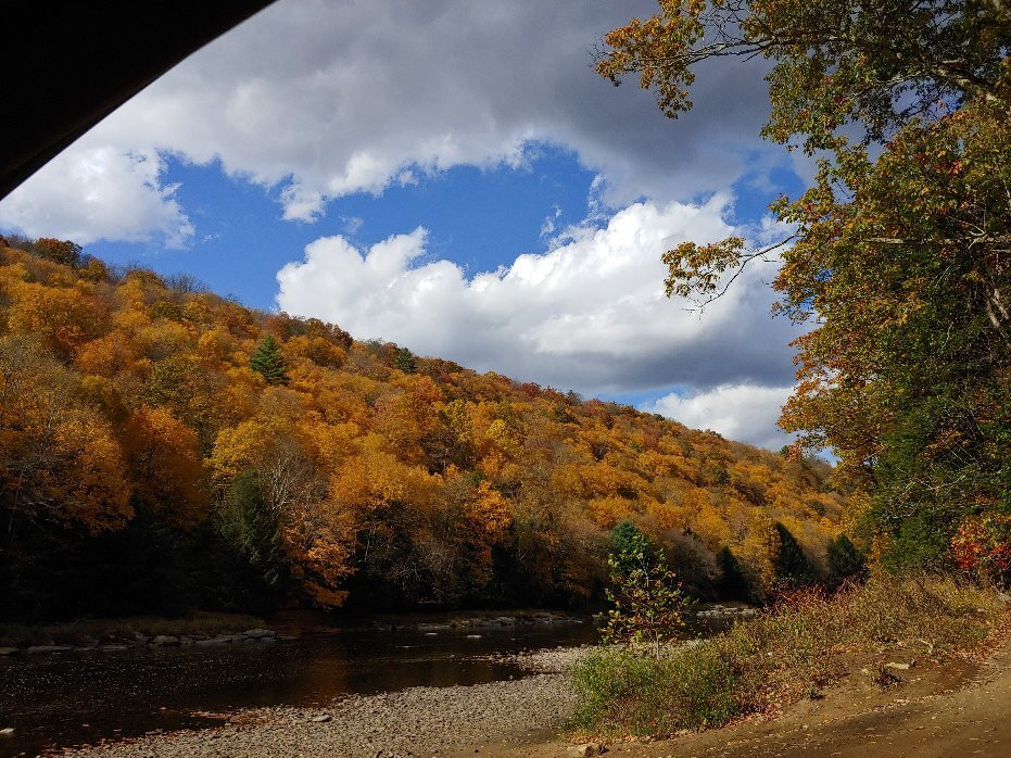 Cook Forest State Park景点图片