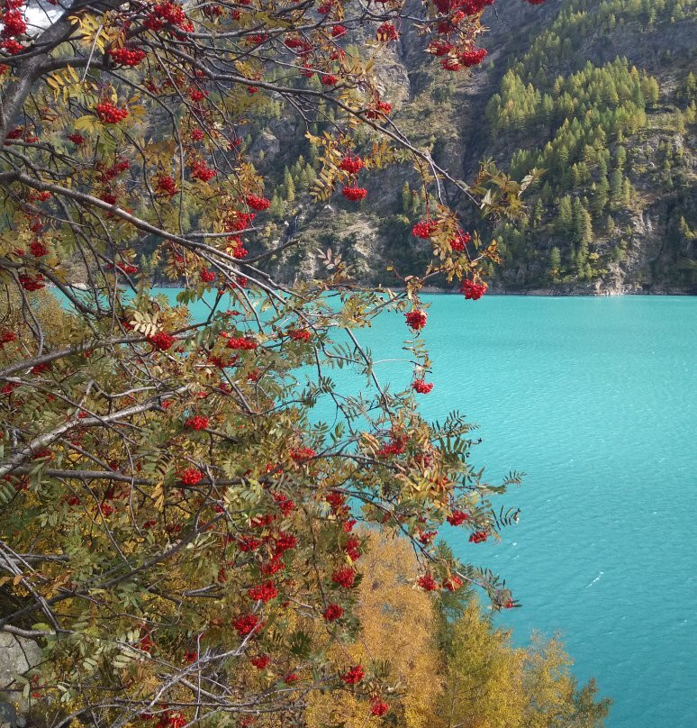 Rifugio Prarayer景点图片