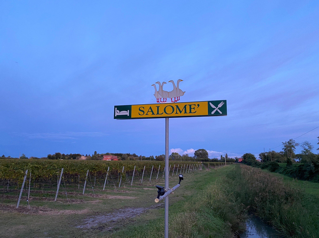 Country House Salome主图