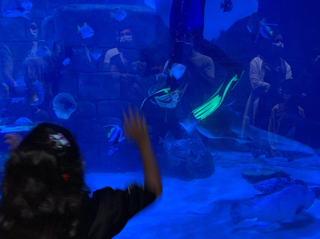Funtastic Aquariums景点图片