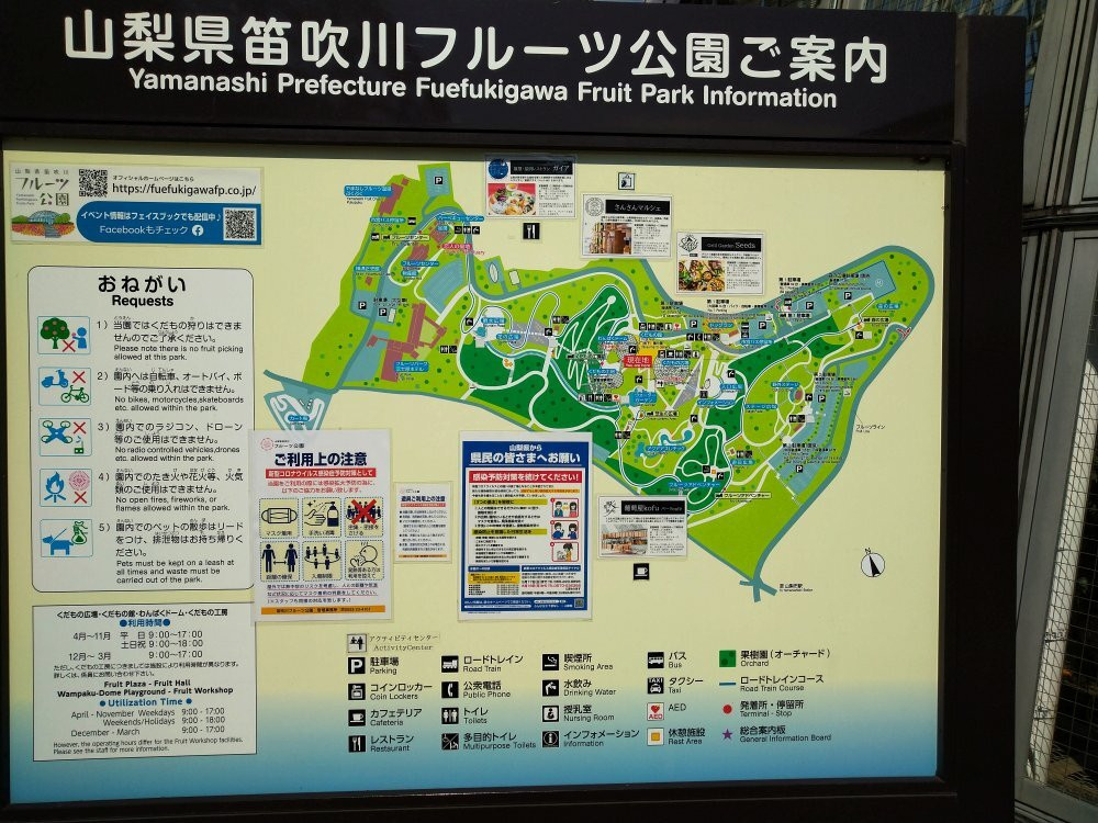 Yamanashi Fuehukigawa Fruit Park景点图片