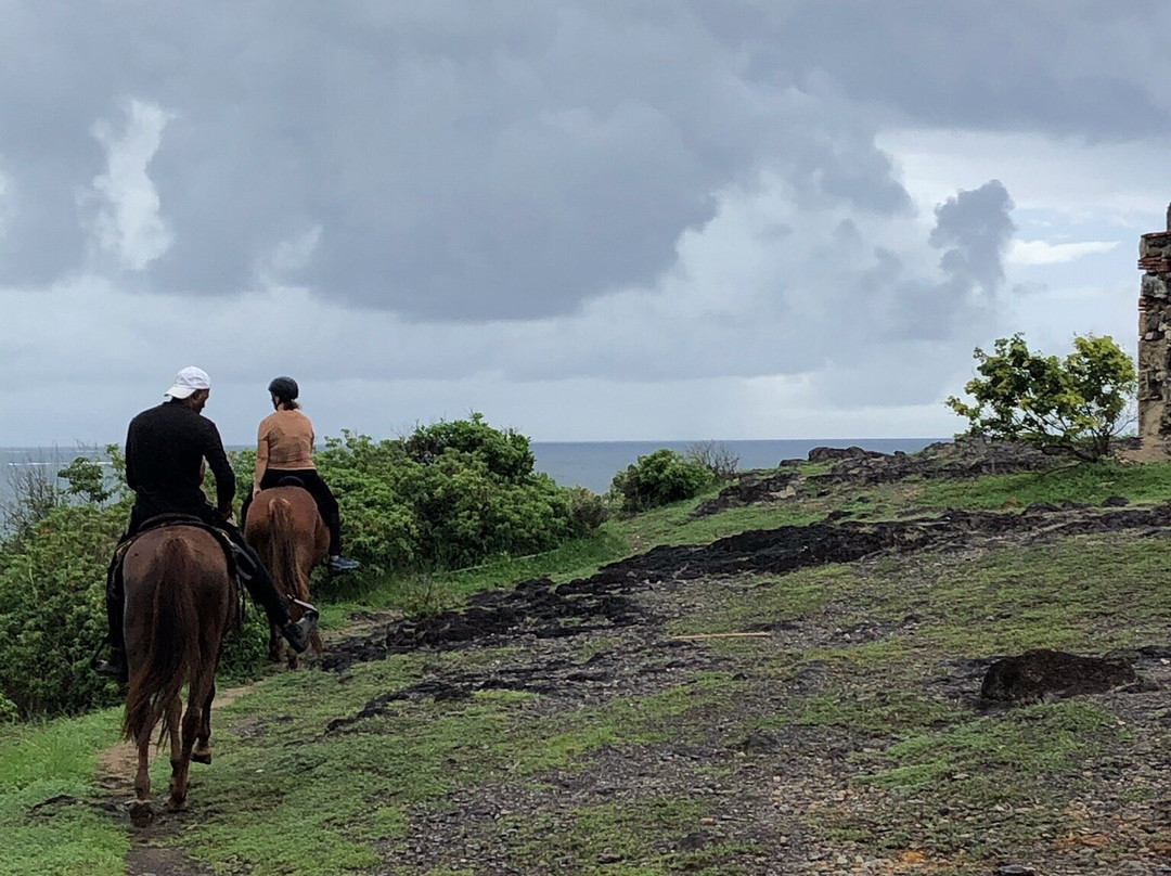 Ranch Anse Macabou-Le Vauclin必去景点