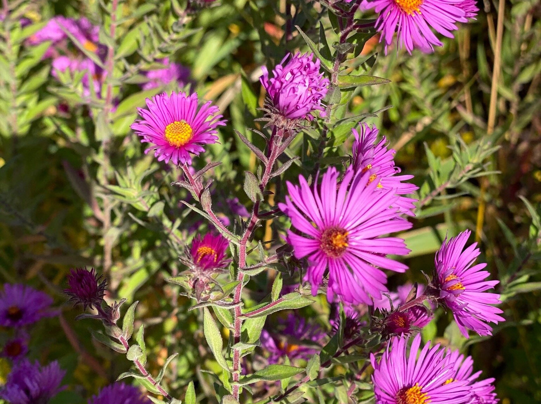 Chippewa River Trail-欧克雷尔必去景点